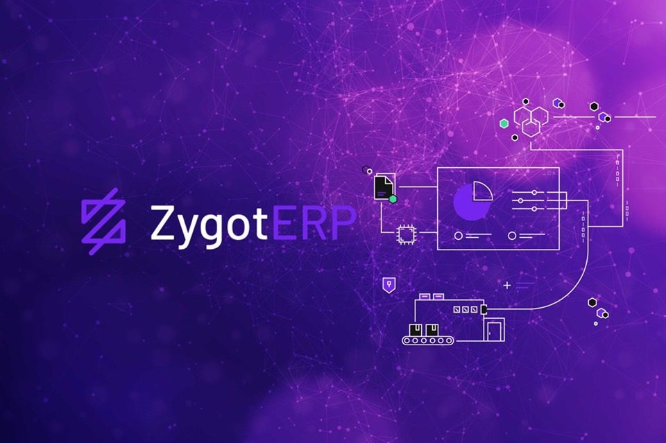 Zygot