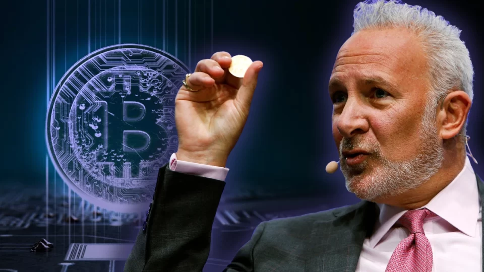 Peter Schiff shared his views on the recent crypto crash