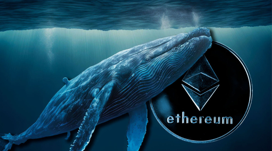 Ethereum Whales Cling to Assets Amidst Dipping Market Trends