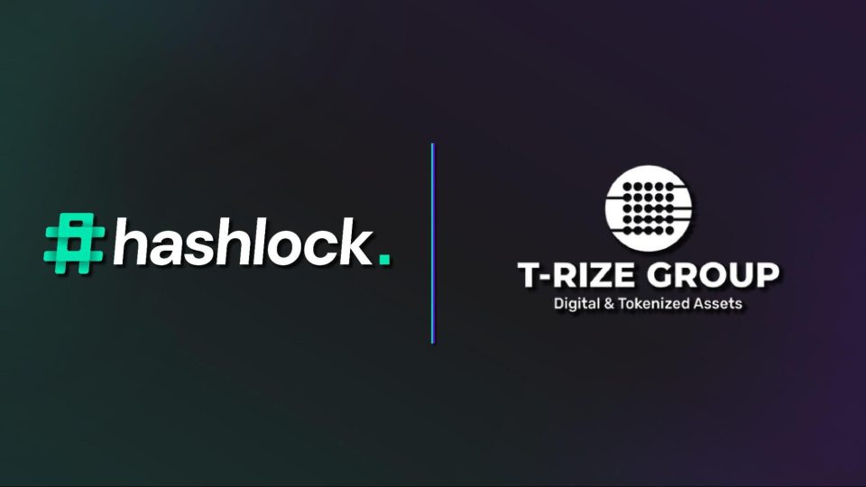 Hashlock Audits Groundbreaking Decentralized Profile Smart Contracts for T-Rize Group and their Rizenet Governance Token (“RIZE”) smart contracts.