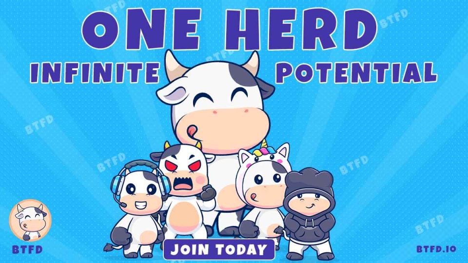 Best Meme Coins to Hold for Short-Term Gains [Exploring the Potential of BTFD Coin, Pepe Coin, and Bone ShibaSwap]