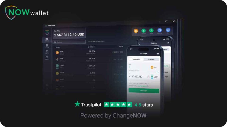NOW Wallet Review: A Non-Custodial Solution That Fits Individual and Business Needs