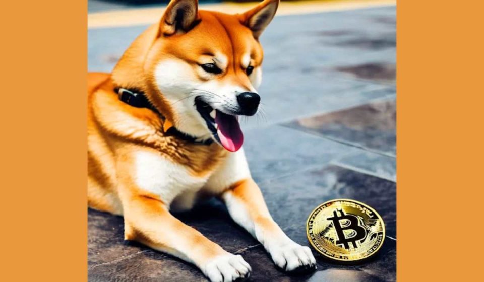 Shiba Inu Dog Watching over a Bitcoin (BTC)