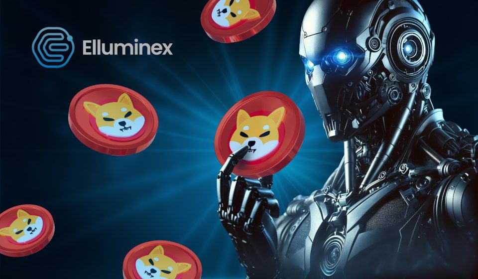 Shiba Inu And Toncoin May Not Be In Vogue, But That Does Not Mean Traders Should Overlook Them