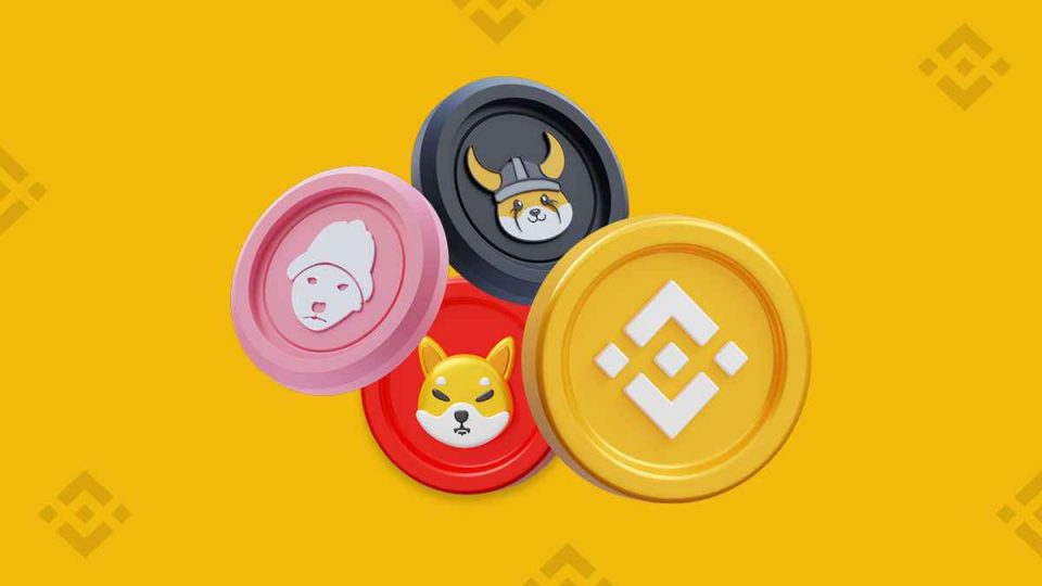 Top New Meme Coins to Join for Long Term Gains: After FLOKI and WIF, BTFD is Rumored to Get Listed on Binance