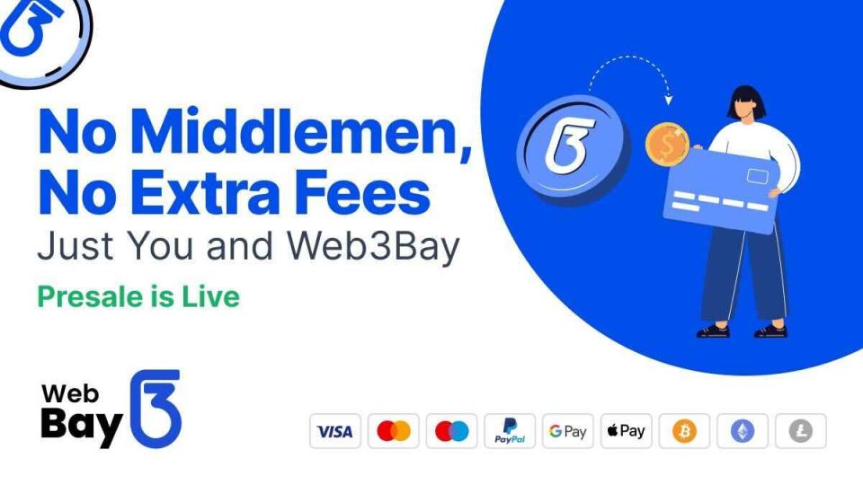 Web3Bay Outshines HyperLiquid DEX & Sui DeSci AI Agents with $254K Raised! Find Out How They Sold 77 Million Tokens!