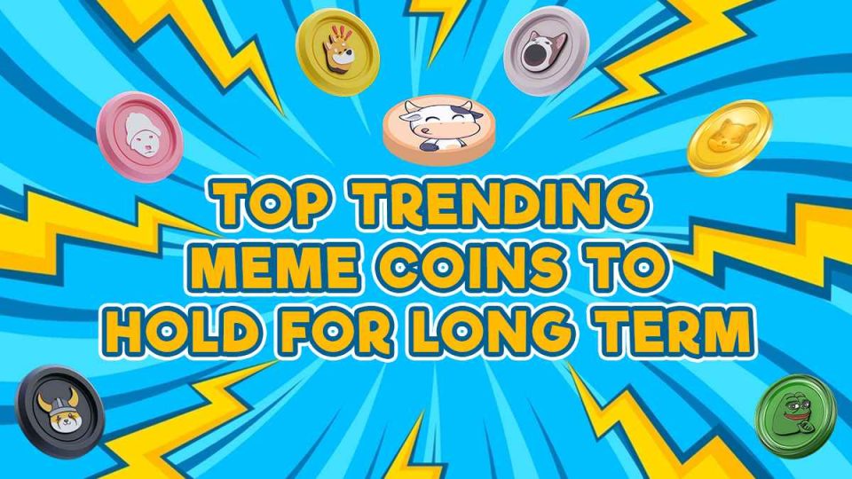 The 3 Best New Meme Coins to Invest in Today: BTFD Coin, Bonk, and Dogwifhat