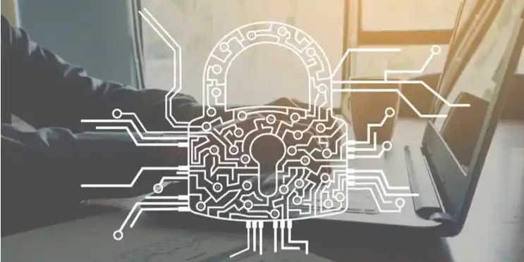 The Enterprise Guide to Securing Digital Assets in 2024
