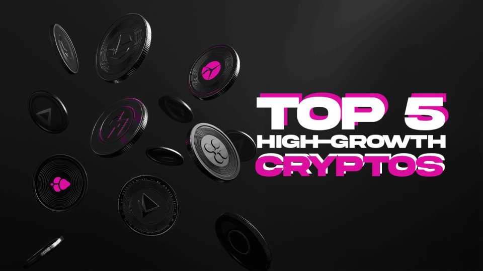 5 Best Cryptos for Beginners | Top Starter-Friendly Investments!