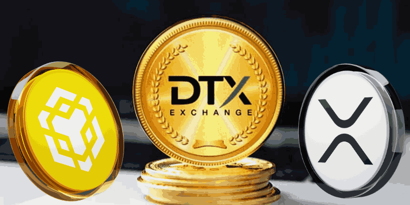 This ERC-20 Coin Could Surpass BNB and XRP in 2025—Price Target at $8