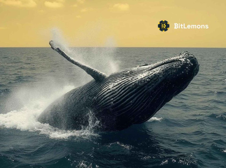 Mega Whale Alert: $4.3M PEPE Buy Signals Market Shift — ETH, SOL Coil for Breakout, While BitLemons ($BLEM) Presale Nears 98% Completion