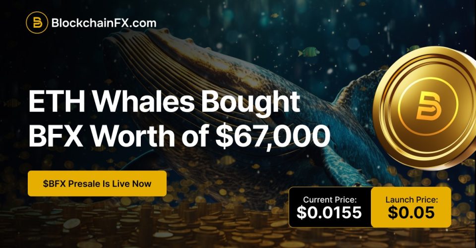 The 3 Top Cryptos To Hold In 2025 For 100x Gains! Solana, Cardano and BlockchainFX
