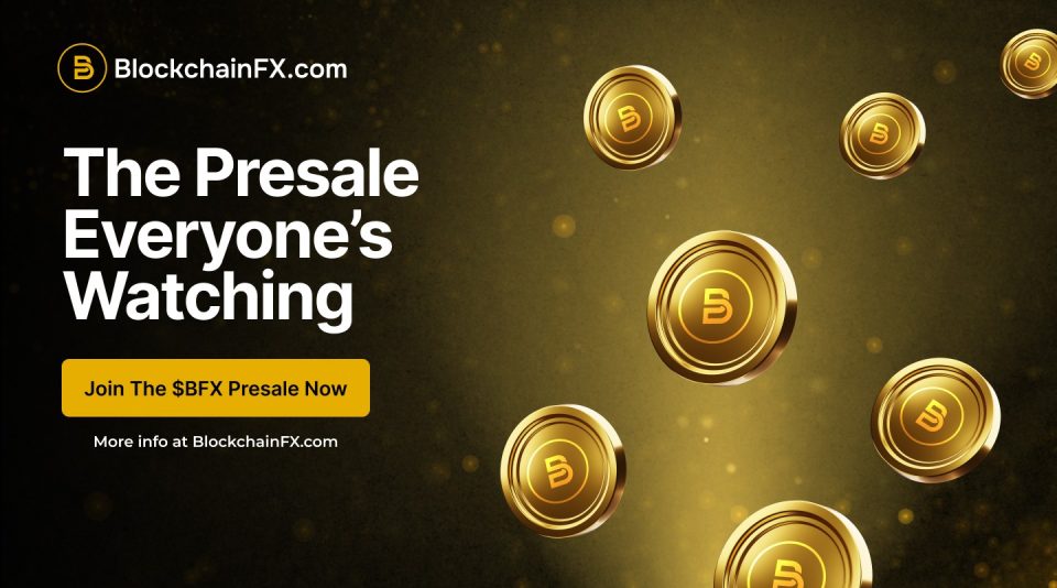 If You Put $500 Into BlockchainFX, How Much Could You Make? This Presale Beats Little Pepe and Snorter Token
