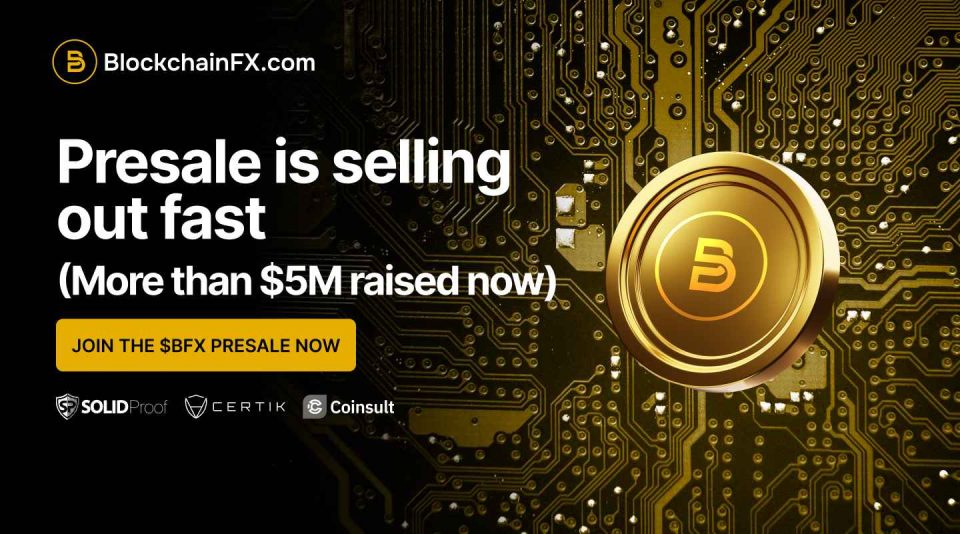 Top Crypto Presales Right Now: BlockchainFX Beats Maxi Doge and BlockDAG in Daily Investor Interest