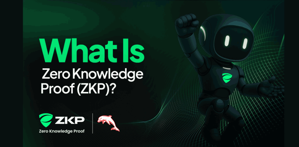 What is Zero Knowledge Proof (ZKP)? Solving Crypto's Anonymity Problem