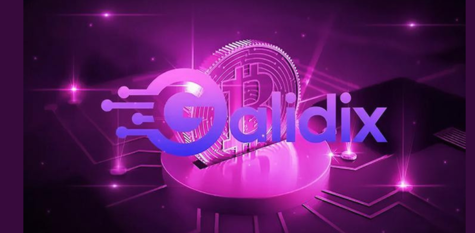 Galidix: Analytics and support for informed decisions